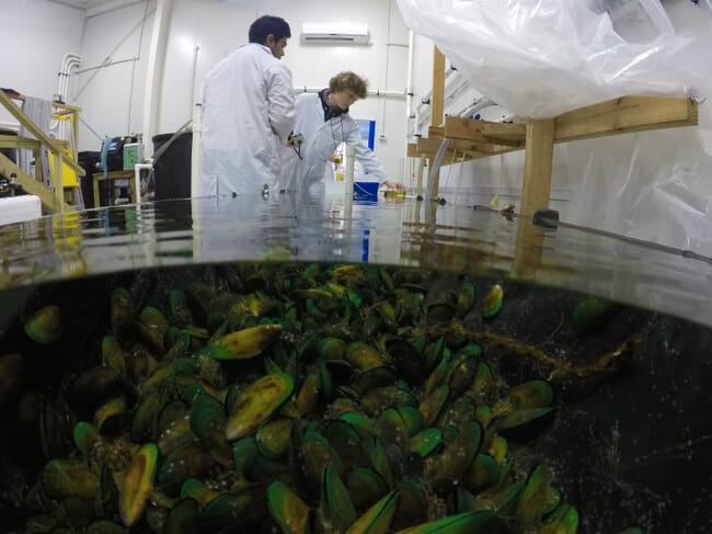 Students doing lab work.